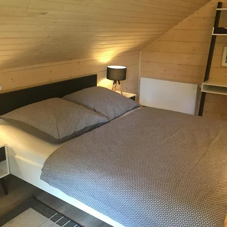 Rotbuche Poczdam