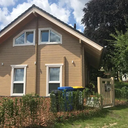 Rotbuche Alpstuga Potsdam