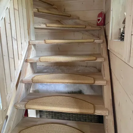 Rotbuche Alpesi faház