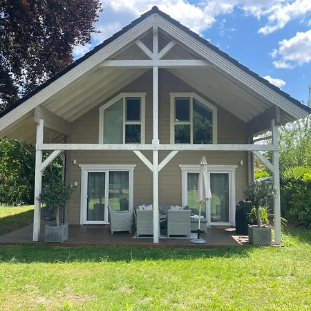 Rotbuche Alpstuga Potsdam