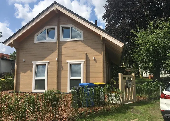 Rotbuche Chalé Potsdam