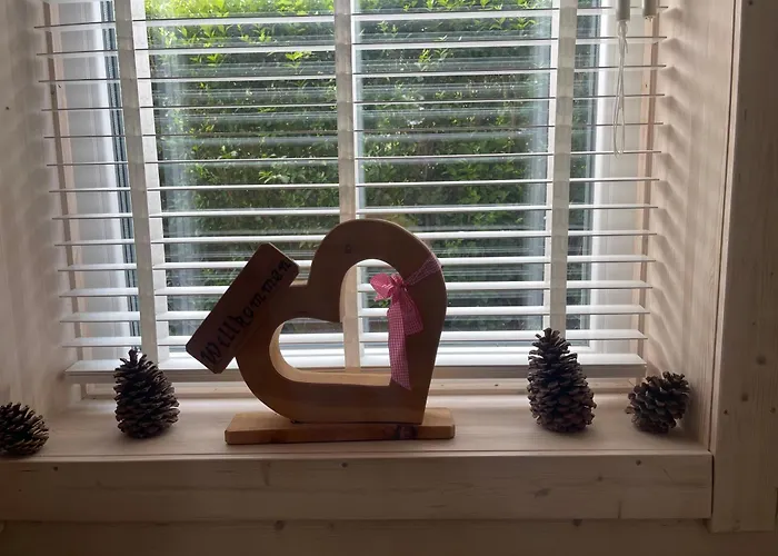 Rotbuche Chalé Potsdam